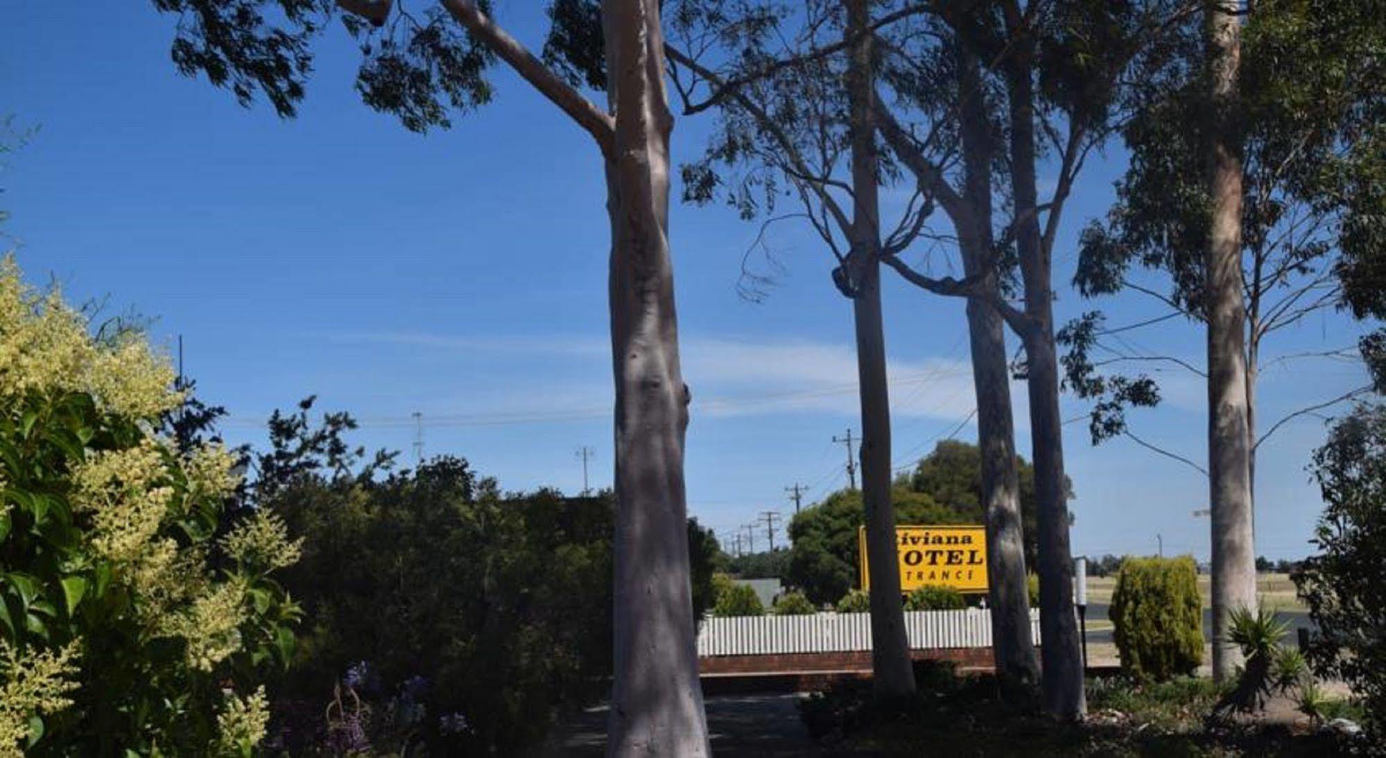 Riviana Motel Deniliquin Zewnętrze zdjęcie